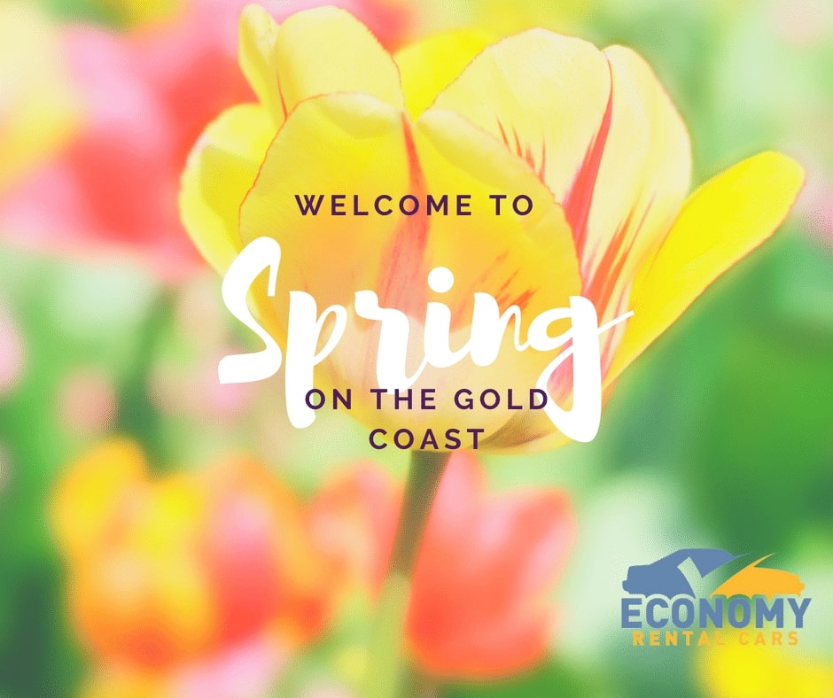 Welcome to spring on the Gold Coast — Fast & Affordable Car Hires in Bilinga, QLD