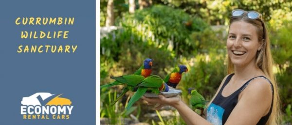 Currumbin Wildlife Sanctuary — Fast & Affordable Car Hires in Bilinga, QLD