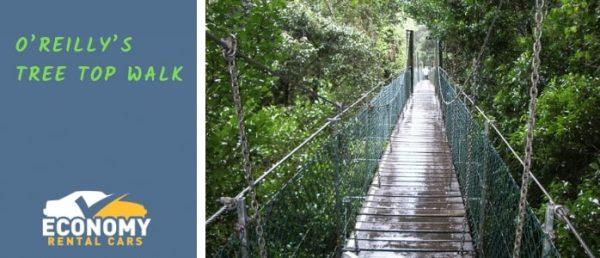 O’reilly’s Tree Top Walk — Fast & Affordable Car Hires in Bilinga, QLD