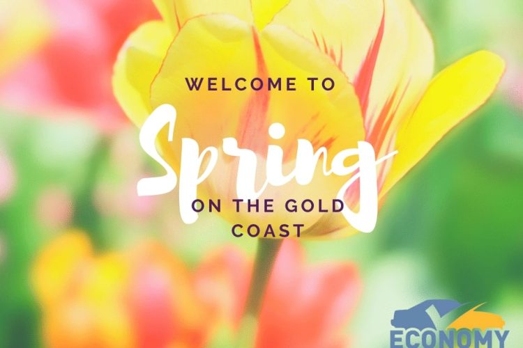 Welcome to spring on the Gold Coast — Fast & Affordable Car Hires in Bilinga, QLD