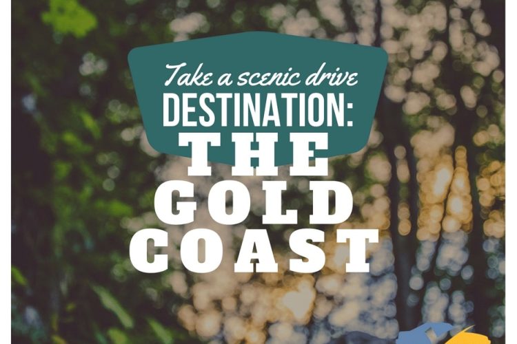 Take a Scenic Drive on The Gold Coast — Fast & Affordable Car Hires in Bilinga, QLD